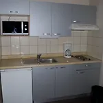 Les Loges Du Ried - Studios&appartements Proche Europapark Appartement