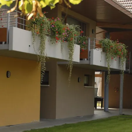 Appartement Les Loges Du Ried - Studios&appartements Proche Europapark *