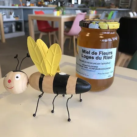 Apartman Les Loges Du Ried - & Proche Europapark *