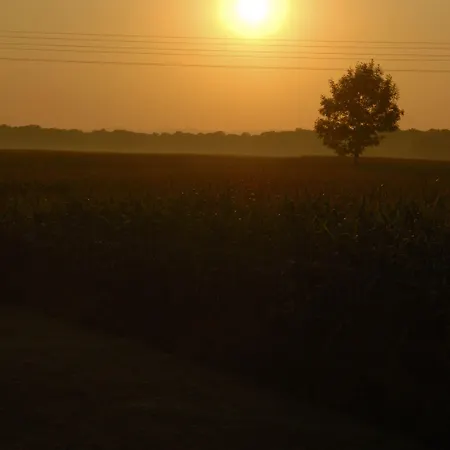 Apartman Les Loges Du Ried - & Proche Europapark