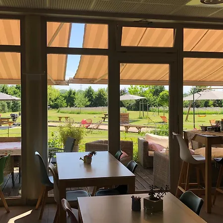 Les Loges Du Ried - Studios&appartements Proche Europapark *
