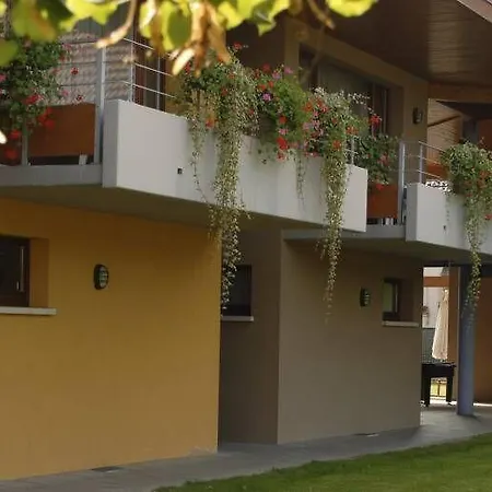 Les Loges Du Ried - Studios&appartements Proche Europapark