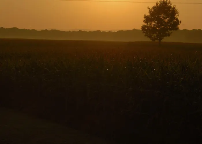 Διαμέρισμα Les Loges Du Ried - & Proche Europapark