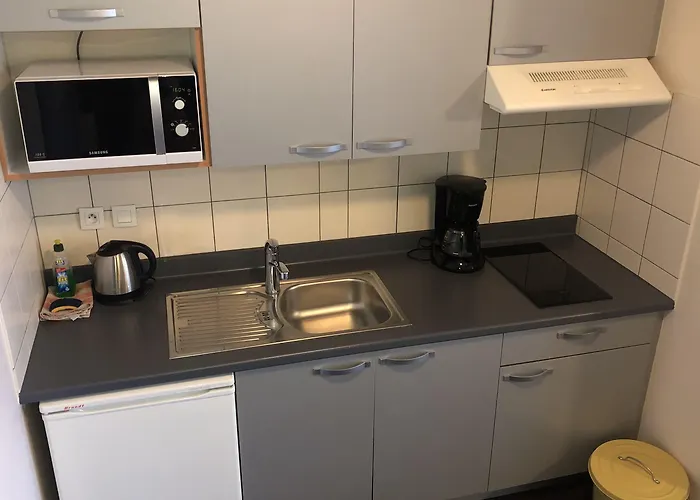 Les Loges Du Ried - & Proche Europapark *